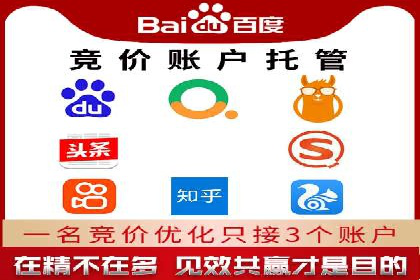 提升转化率：SEM竞价专员的案例研究